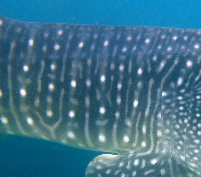 835fa521-d0b1-4c3a-9b52-03b61736b542