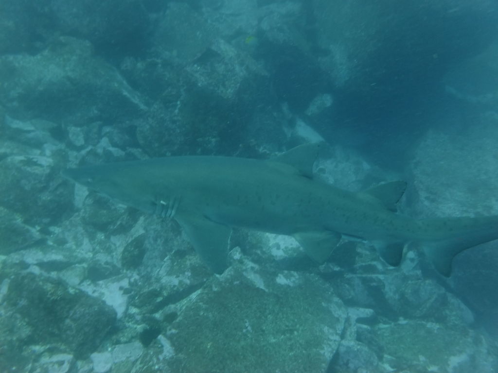 1744b9fa-0469-44a3-b849-716c2491142e