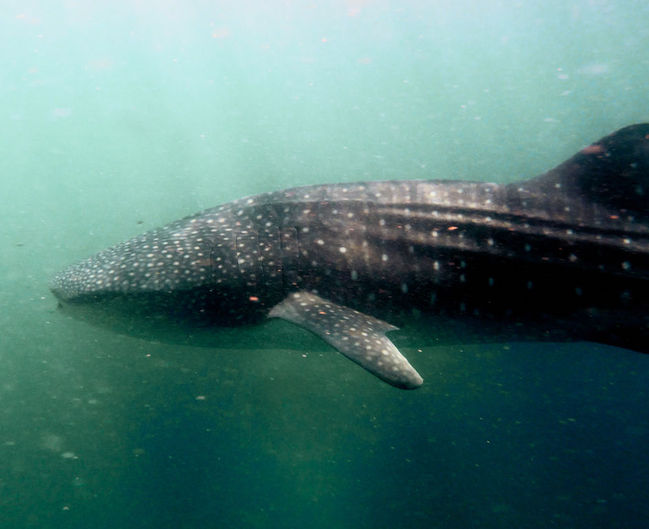 9f4b0141-ff67-46c3-80c8-17c482f90e58