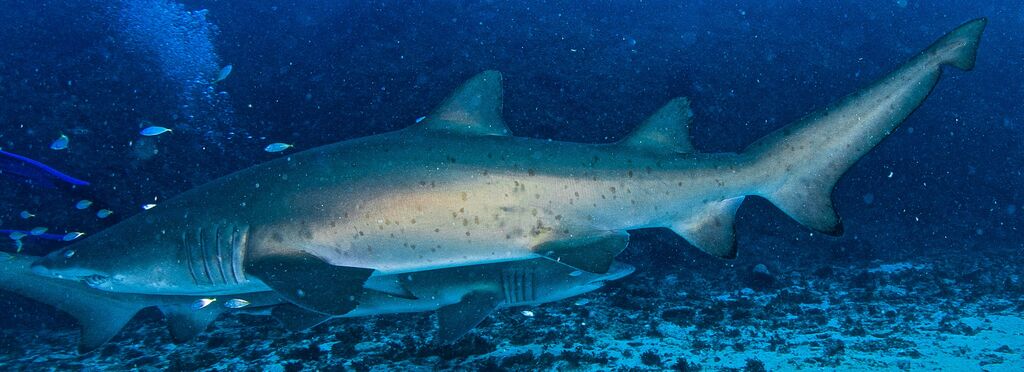 12a0cb56-716b-4ee9-b160-60cbf07b29ec