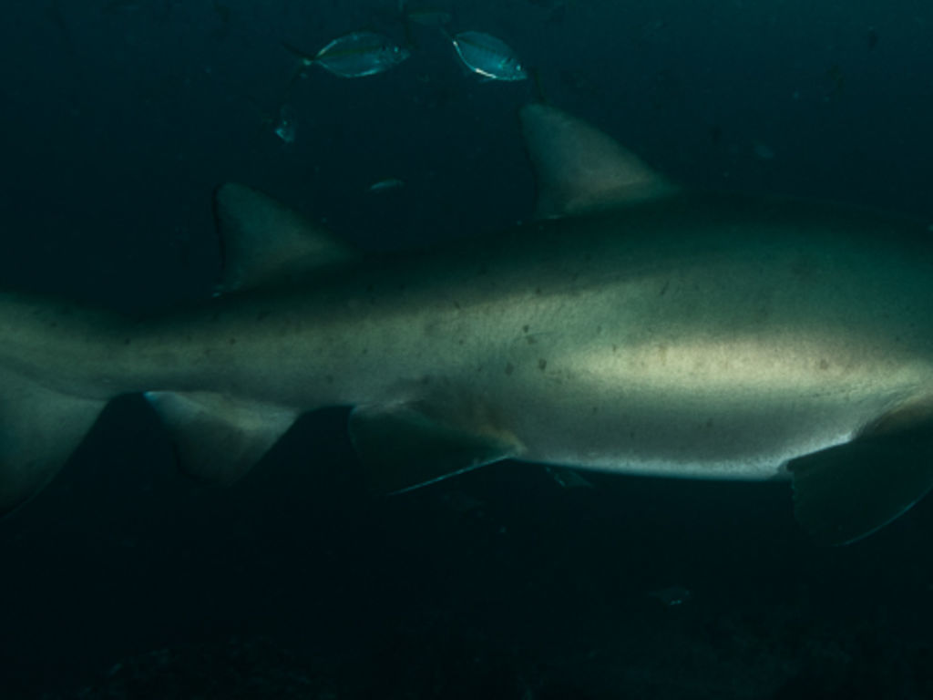 af957dbe-90a2-425b-a4ca-b71dde2bf3ae