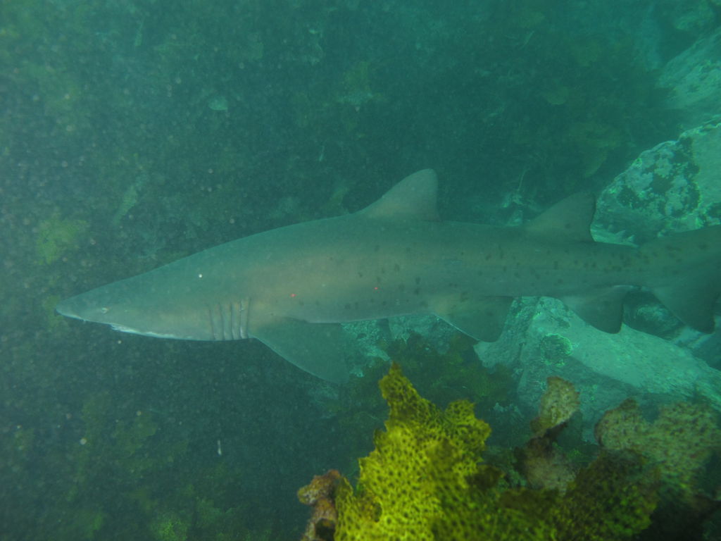 9fe1aba2-0088-4e3d-9ac4-88bd0d54c806