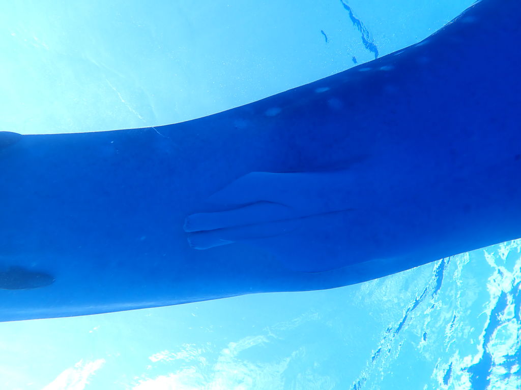 208cac94-5cc5-4167-aeec-0a90a1efa116