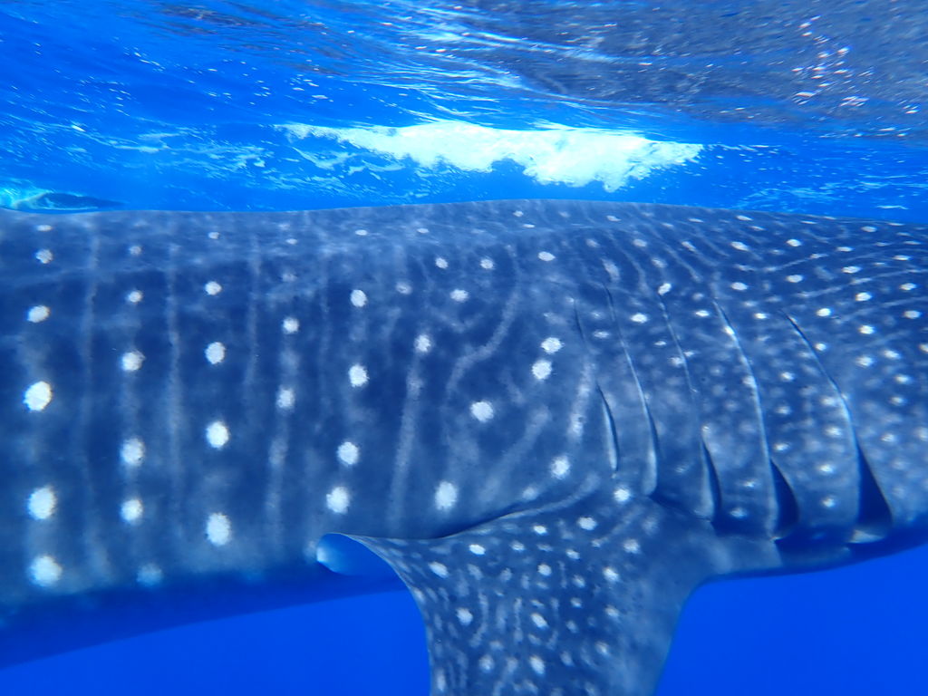 208cac94-5cc5-4167-aeec-0a90a1efa116