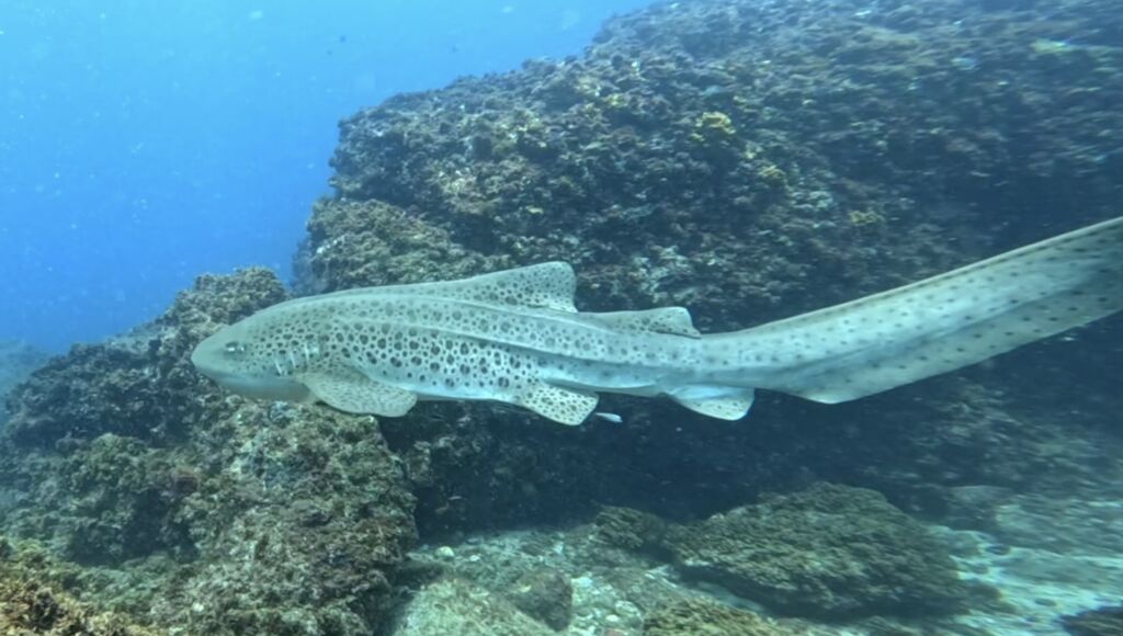 f09d9870-7c79-4cf2-b71c-9cd222186569