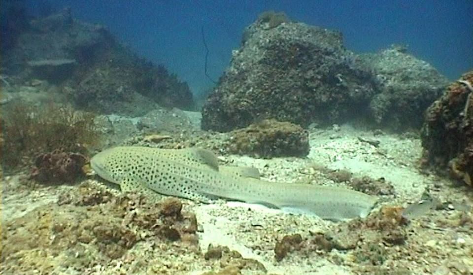 7172075a-cf42-41c5-bcdb-d5c943f6e64b