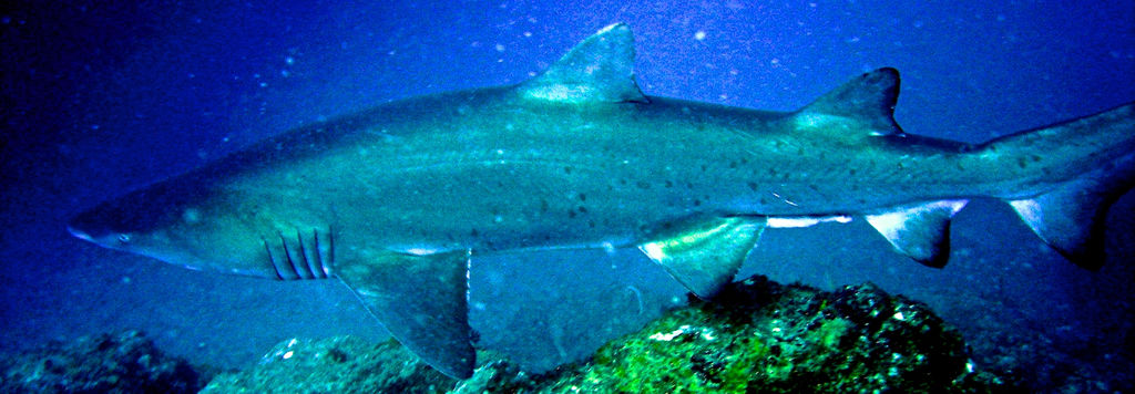 7118d363-1923-4c4f-b72c-b6d7c298ba08