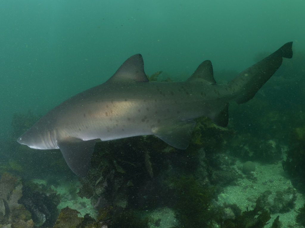 fe091272-f256-4d72-b9dd-54a933a63e78