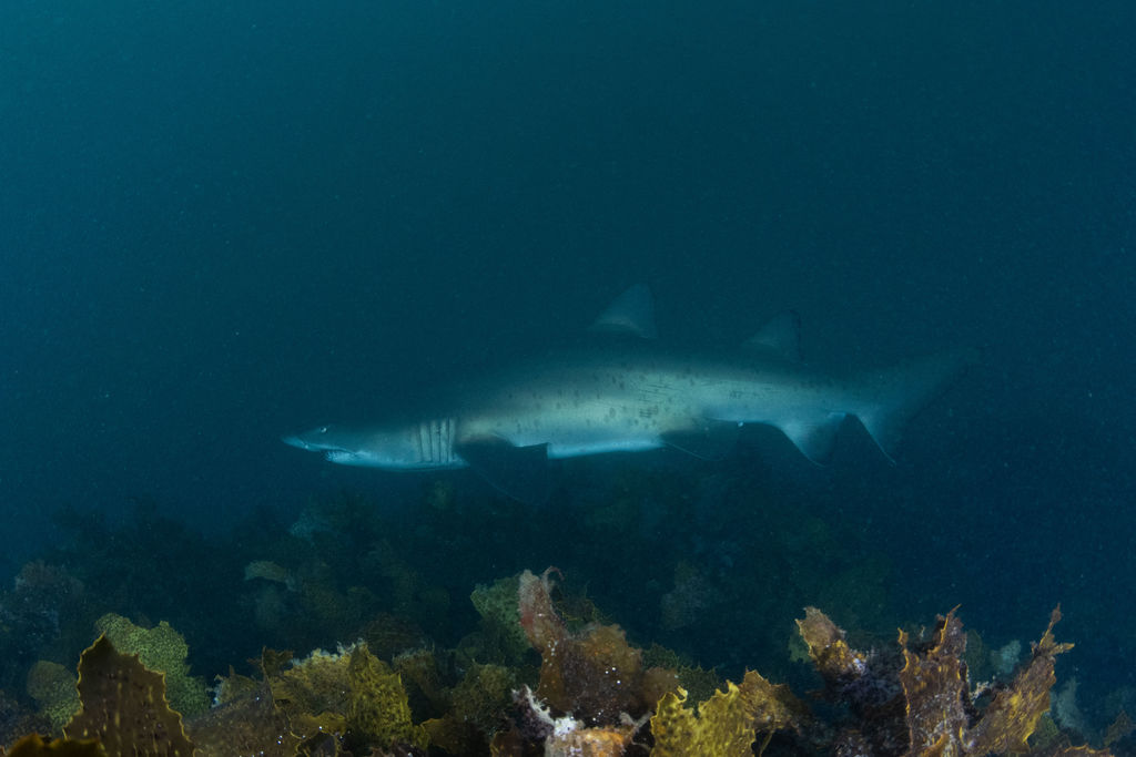 4731e8f1-b78b-4b50-9bdb-2109d85fca07