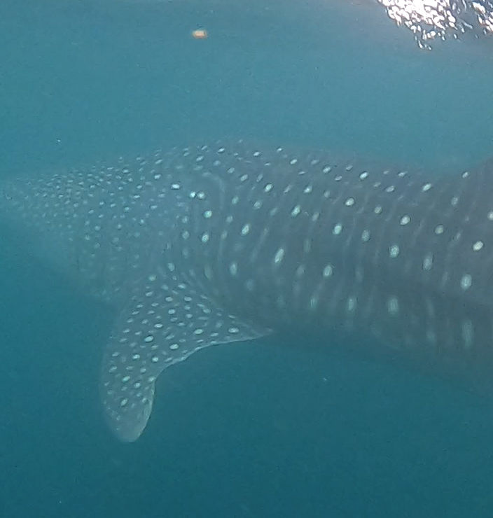 7ceac036-67fc-4154-bf1b-fba0fdf91d60