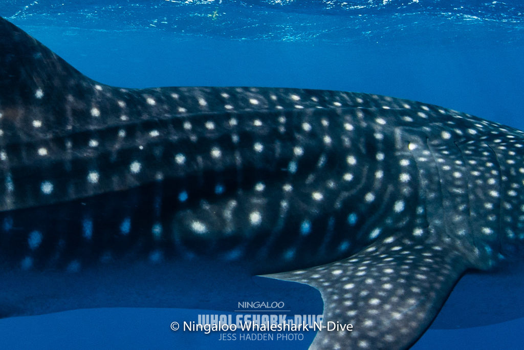 30db386b-548e-4d68-9f18-6c0d0a807632