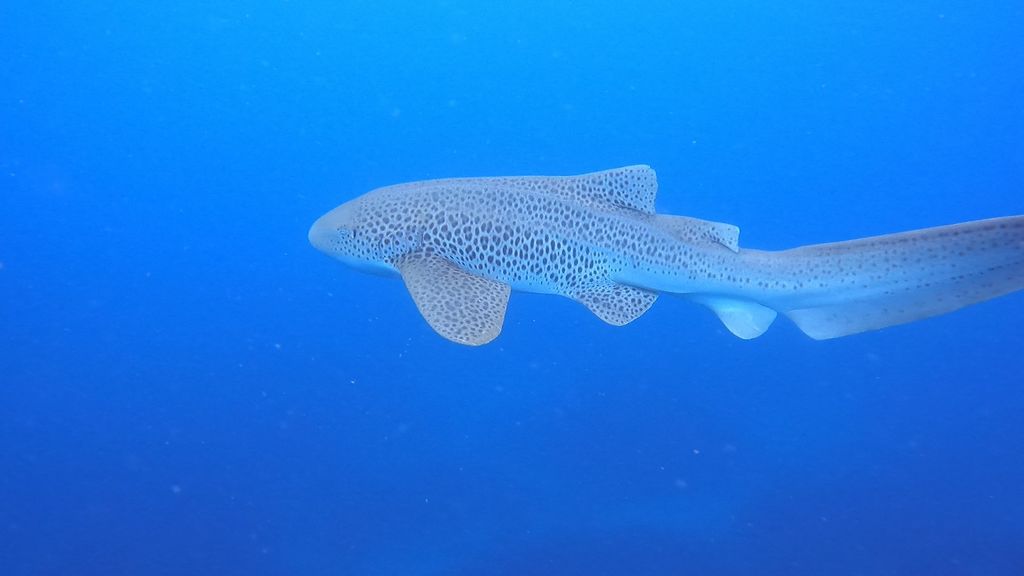 14dddda1-c4c9-4ceb-99c2-0d6f5629934e