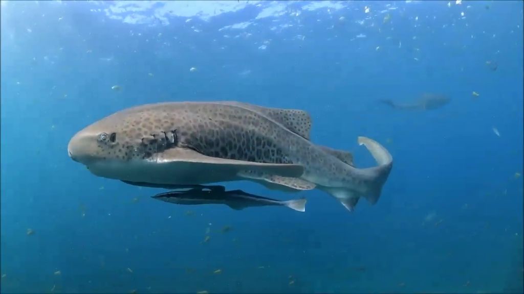 7b71f9dd-4711-4f19-91dc-4370a5770553