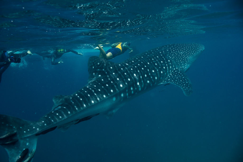 e8d65645-a41d-43a6-a088-5456927b1aca