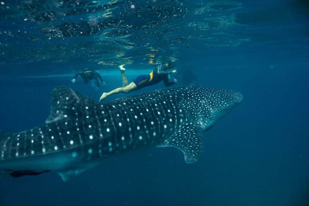 e8d65645-a41d-43a6-a088-5456927b1aca