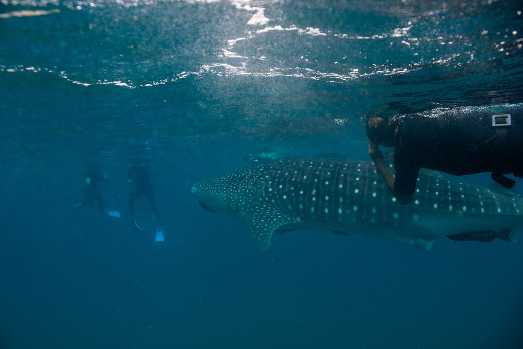 e8d65645-a41d-43a6-a088-5456927b1aca