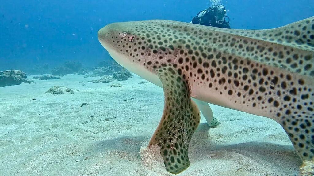 497bb3f5-a191-4c3b-a5df-bc1c683ca1d1