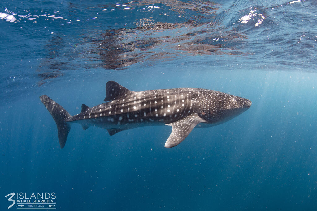 fdc14074-0075-4b91-a10a-1f6a61a685dc