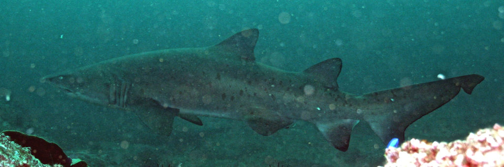 9aff1249-9c45-4316-b785-3befa534bb52