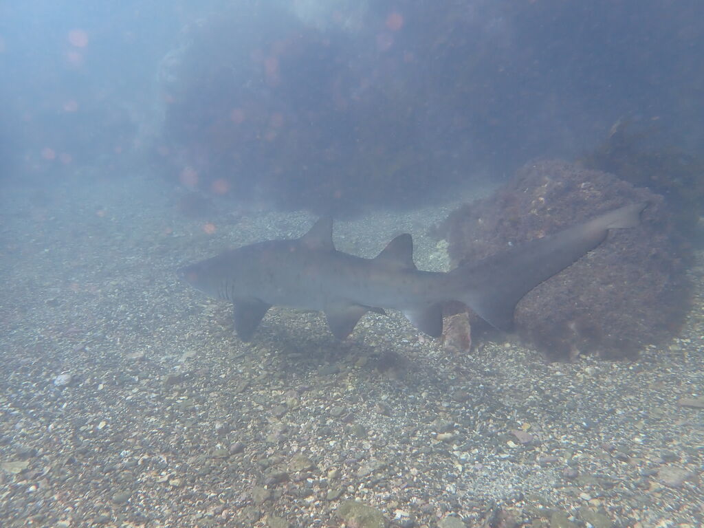 27bf62f6-98b3-4675-8cbe-35a6adf1df88