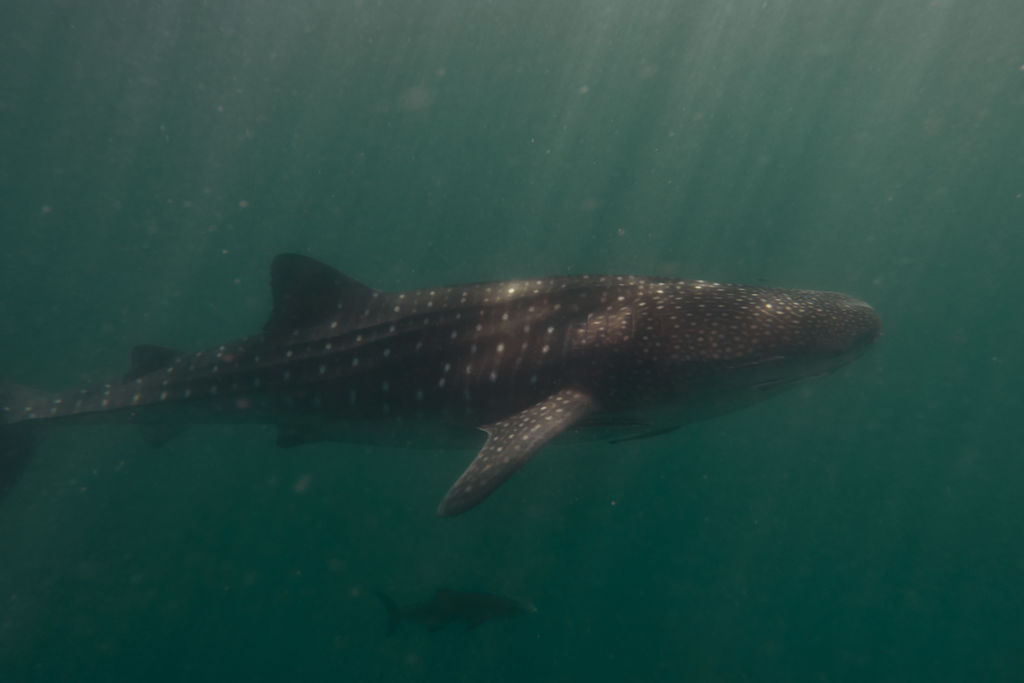 f5db753f-8f45-42fe-b963-2621c3f1db38