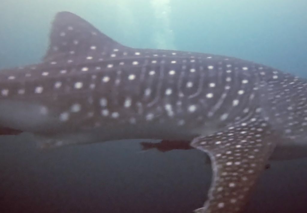 e1112eca-d450-4d9e-9de6-3d13447b8e15