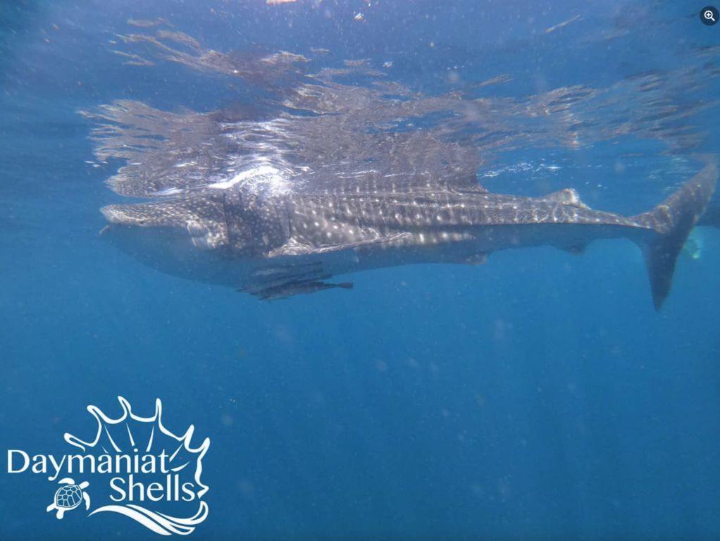 a2c5325d-0307-4593-b47d-d17075b6e83e