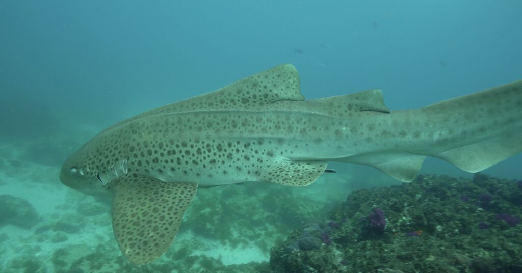 50e8d151-4727-4b3c-8077-206868efc5fe