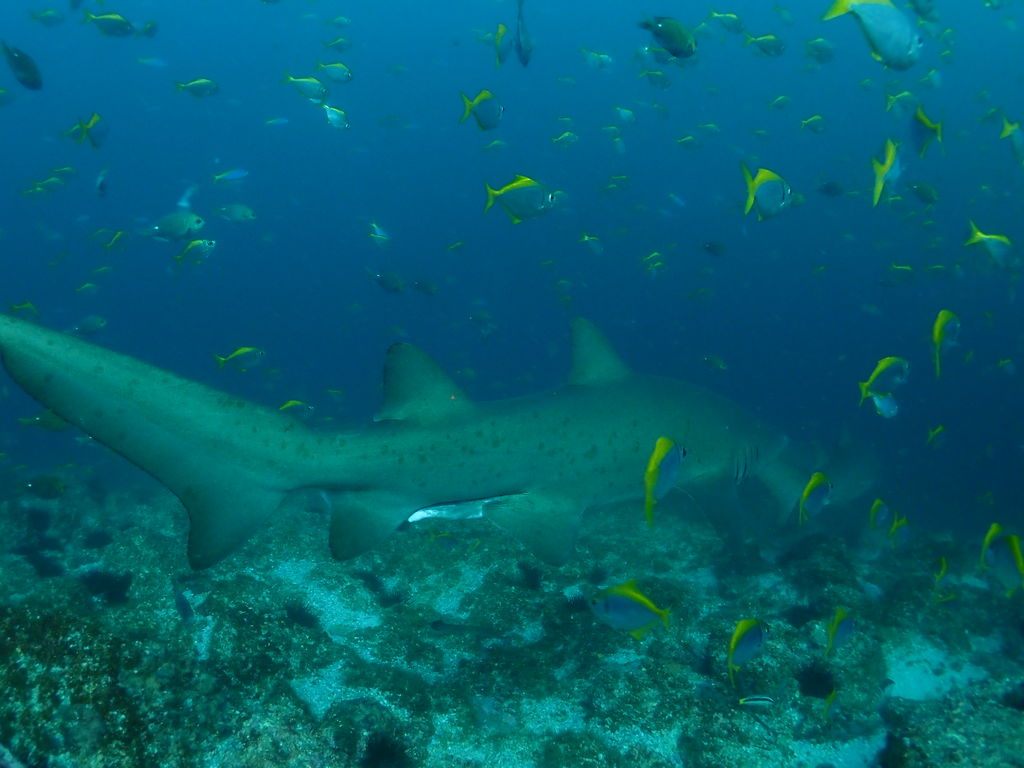 b259f772-f6ec-4afd-bc58-08916a50af4e