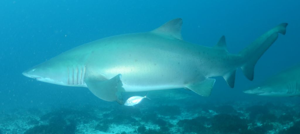 29309efc-9efc-41c3-9460-843be4175c27