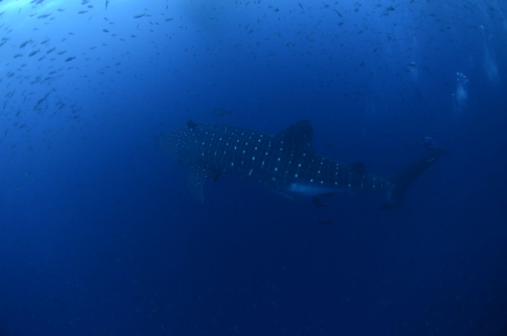 2d78c22e-b558-46ce-a85a-f444c26497db