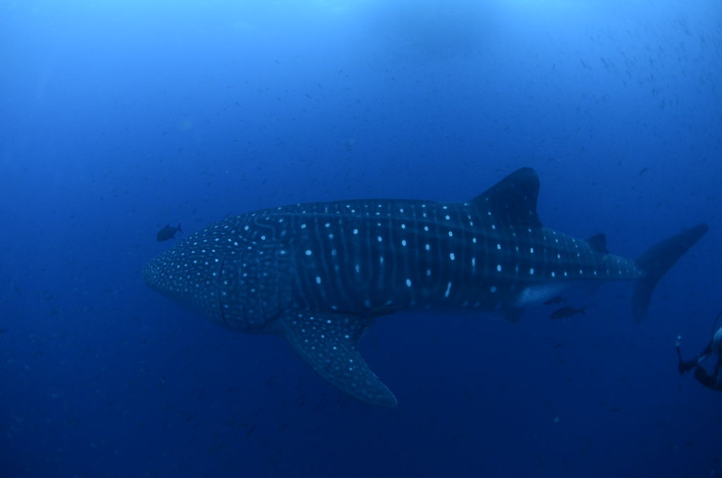 2d78c22e-b558-46ce-a85a-f444c26497db