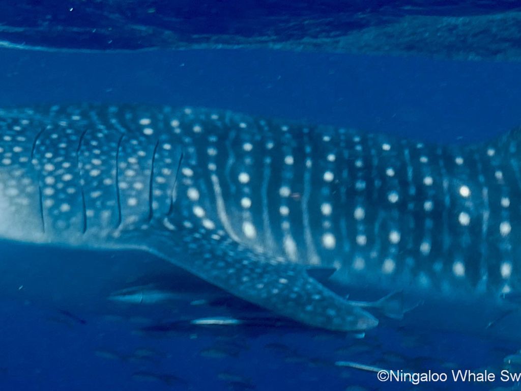 120f84b8-1aaa-4b3b-9242-3803cd6705d6