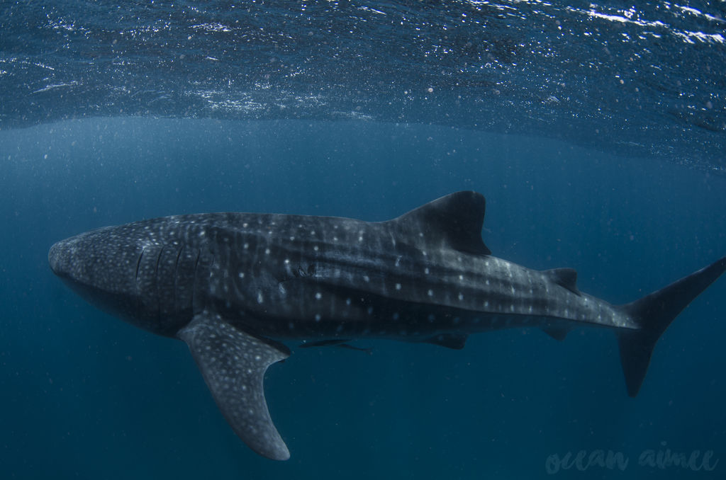 7f7ed114-9214-437f-9a00-7a425c4c25d0