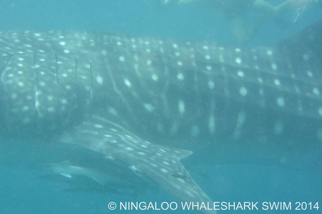 79ae0da9-e043-499a-8cb7-53faf0d94c6c