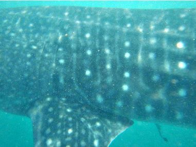 22ae1ea9-c1bf-4a4c-b617-813d8505bbba