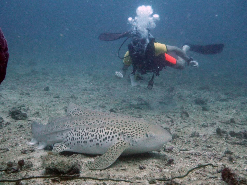 5e65d282-e278-4f01-b92d-cc02cafc589d