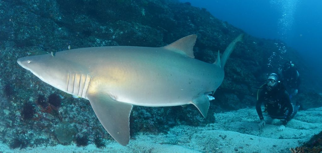 f12f4b8c-5e58-4b81-9985-5aca1a07c02e