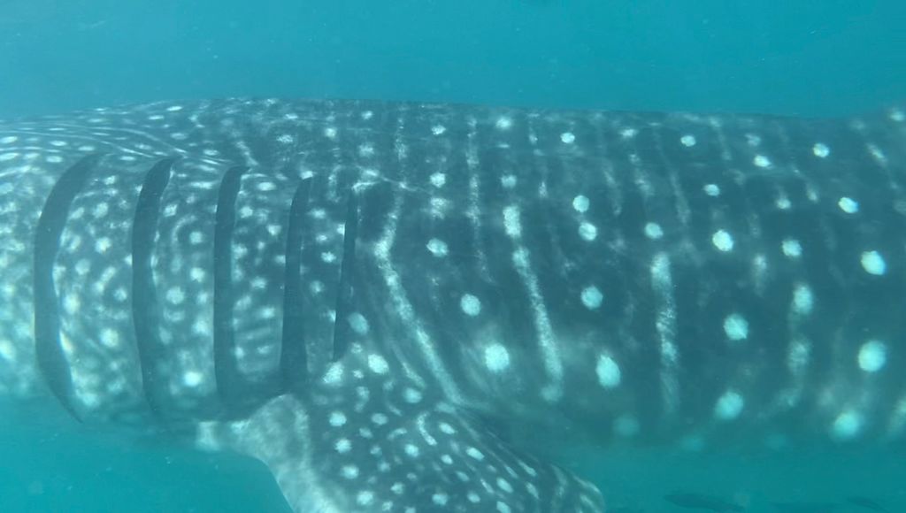 1973e462-c8cc-4b9f-b1cf-458e0be58d8c