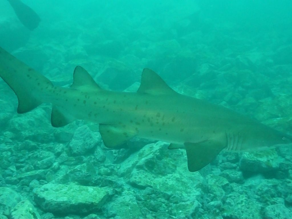 33aa0708-203e-40a0-9293-91a812ff8465