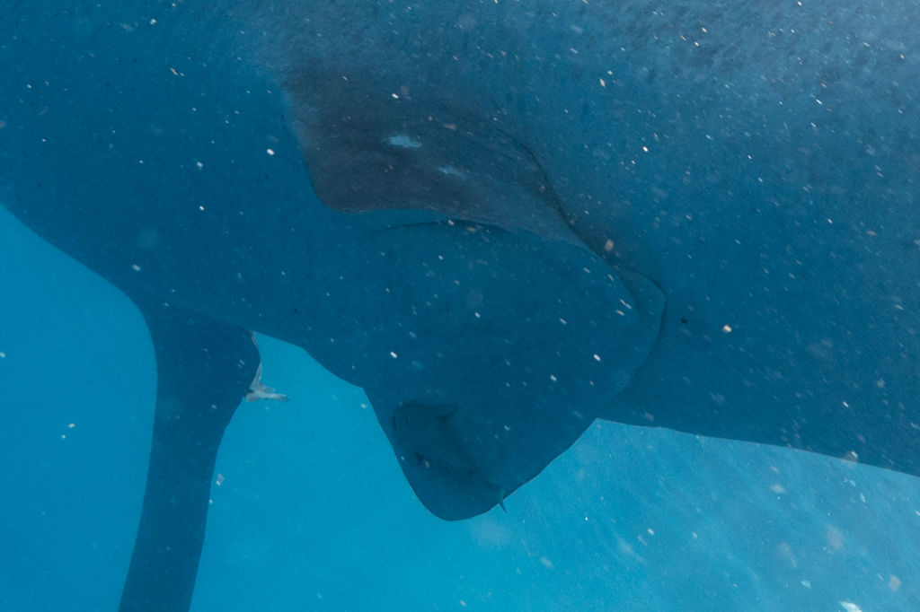 0c9bffed-dd23-4189-8ba2-efc5dde31112