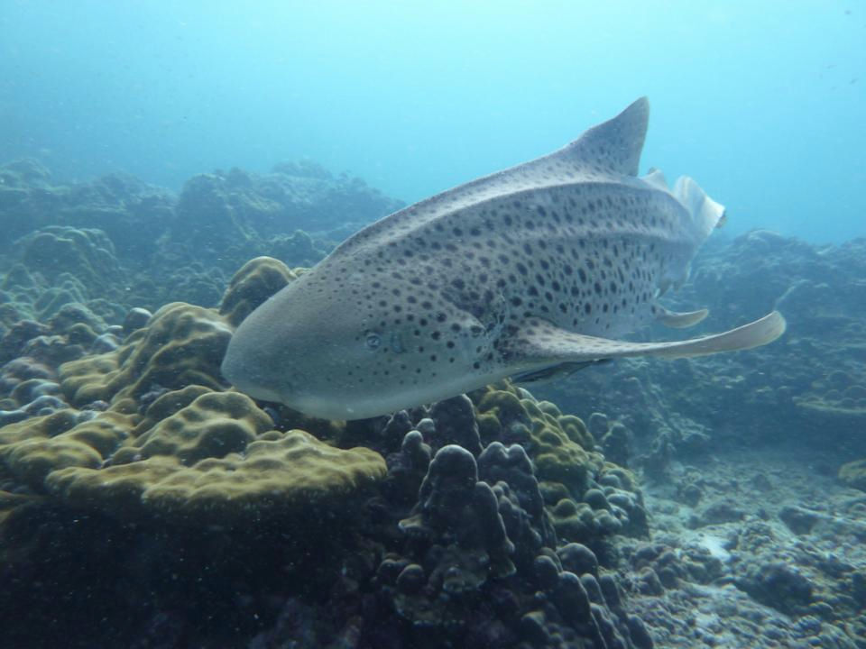 a82da906-0da4-4b78-949b-eb5895d88edd