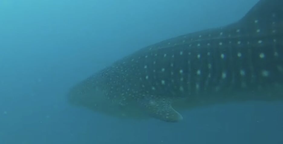 13b78b1d-a9ba-45c7-ae4f-e99e12ca69b3