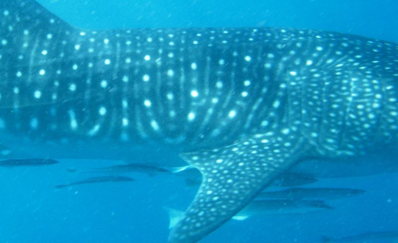 10ebb545-adf4-4655-9c57-5effe5a994f0