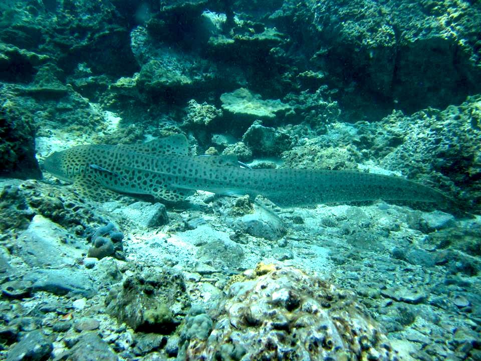 40d79796-f874-40cd-abcd-8ab4c9d44629