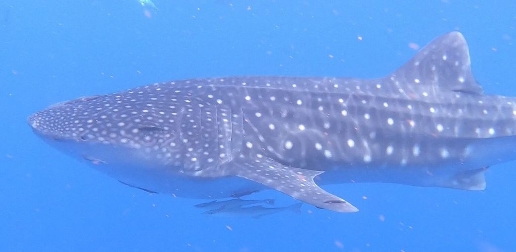 2b783502-1175-4b84-bb5c-c4704f0b29d1