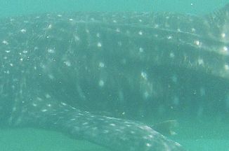 eb3901b9-d087-4ad6-816b-78d7348cbb20