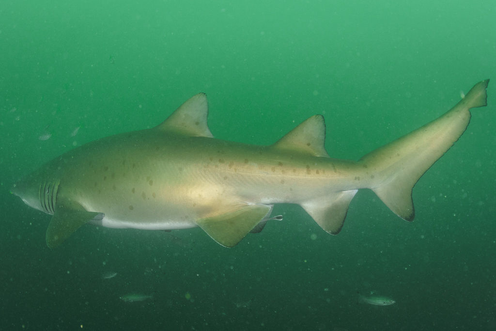 c48e6fd9-45e5-4dfd-a06c-85dcecdbe167