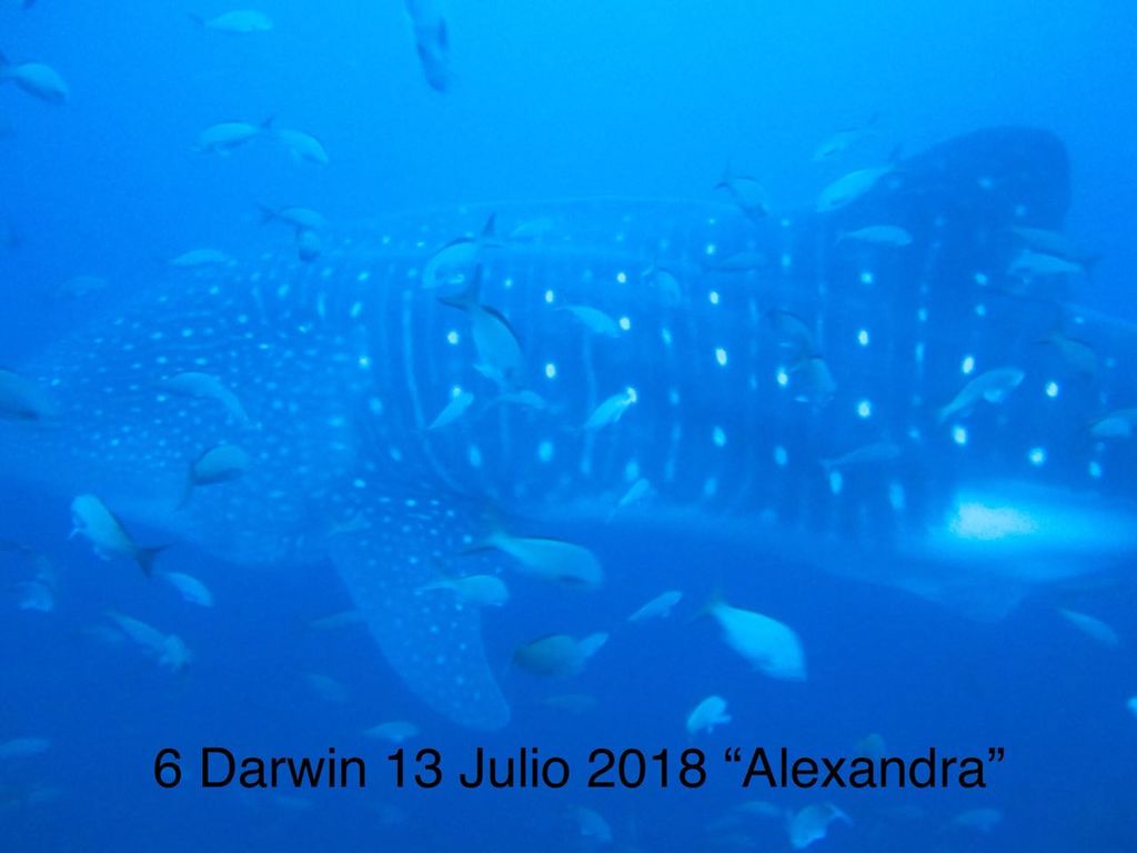 c3d142b9-2c21-4b9e-80ae-5c58afc7fa68