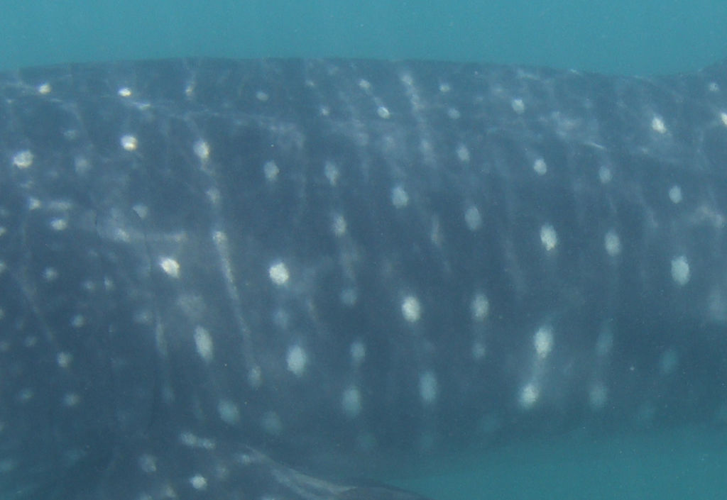 3746171d-01a0-4fa4-a8ba-346cab6d37a0